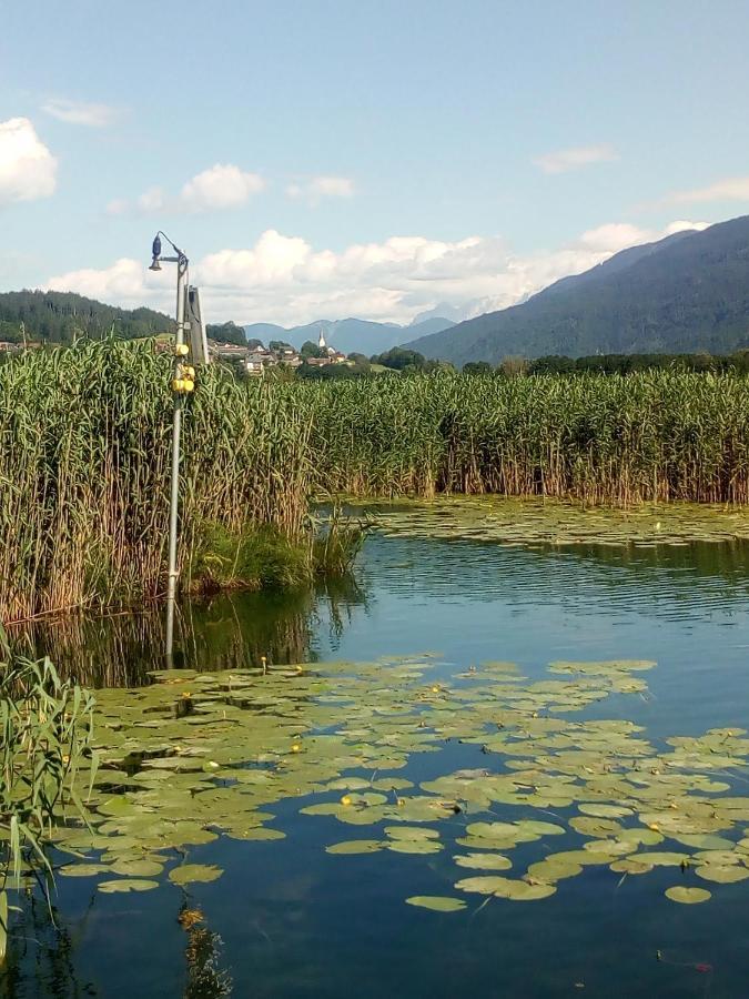 Landhaus Tirol Presseggersee Exteriér fotografie